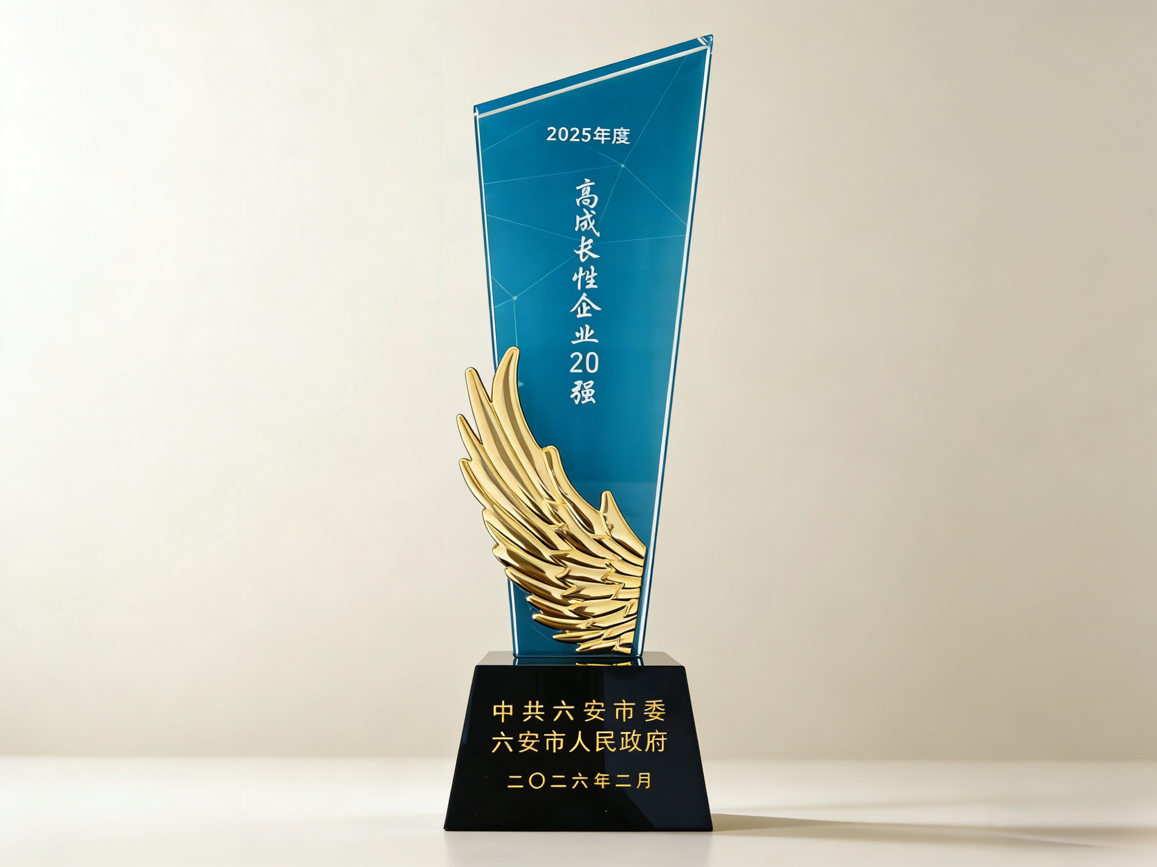 六安鑄造獲”2025年度高成長(zhǎng)性企業(yè)20強(qiáng)“榮譽(yù).png